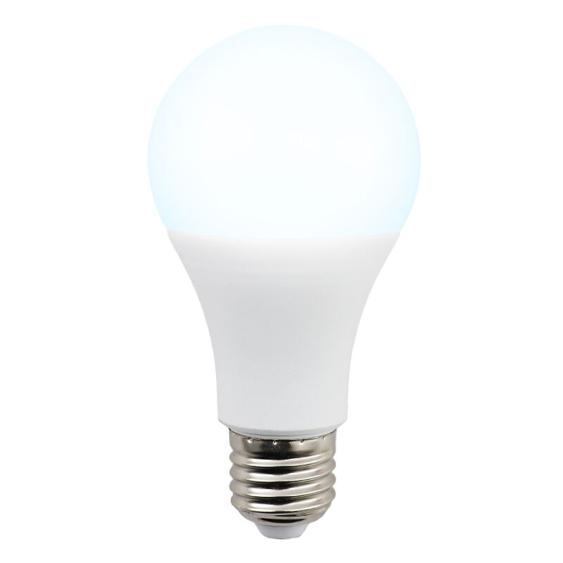 Ampoule LED Lagiba E27 Bradley, 12W, 6500K
