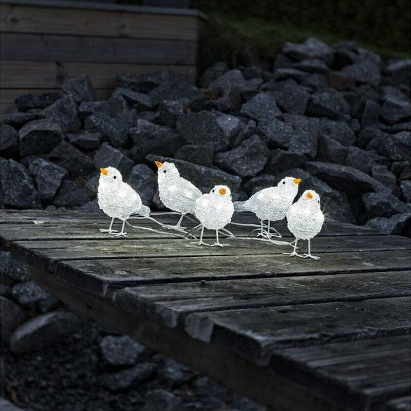 Oiseaux LED, motifs de Noël - Lot de 5