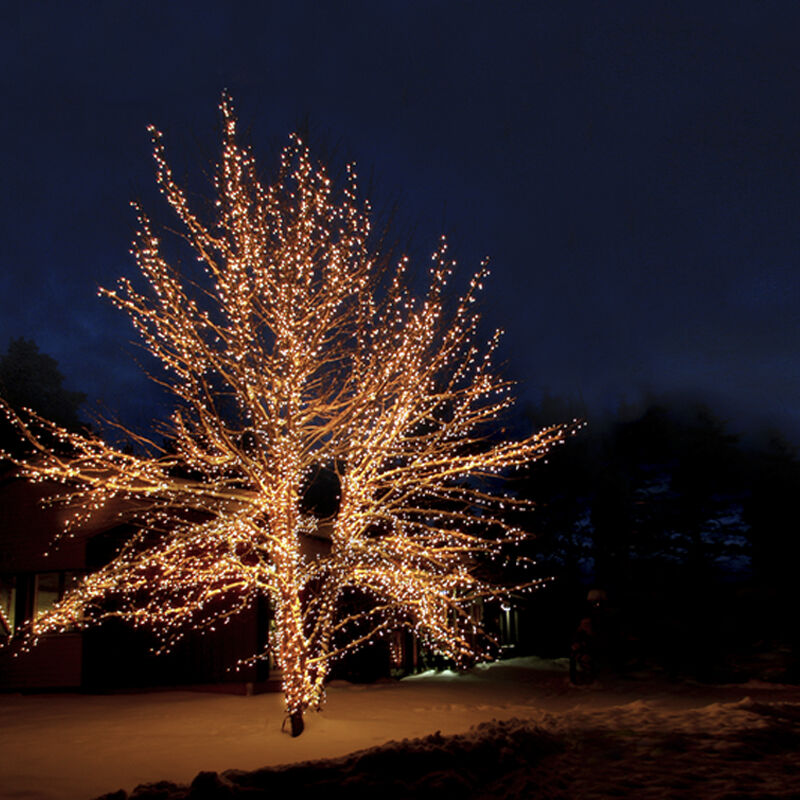 Éclairage d'arbre reliable noir 20M, 10 leds par mètre, IP67 - Blanc chaud