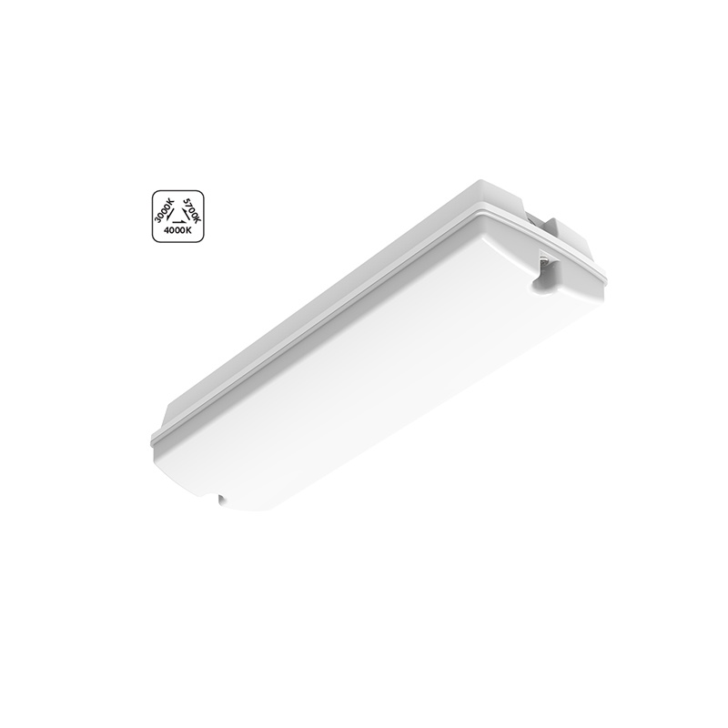 Luminaire escalier blanc en plastique, Pedram, 4W, blanc chaud à froid réglable LED, IP66