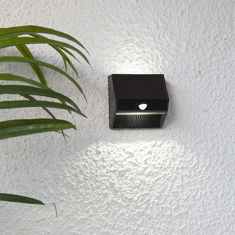 Applique solaire extérieur noire en plastique, Amier, 0,06W, 5000K LED, IP44 Applique solaire extérieur noire en plastique, Amier, 0,06W, 5000K LED, IP44