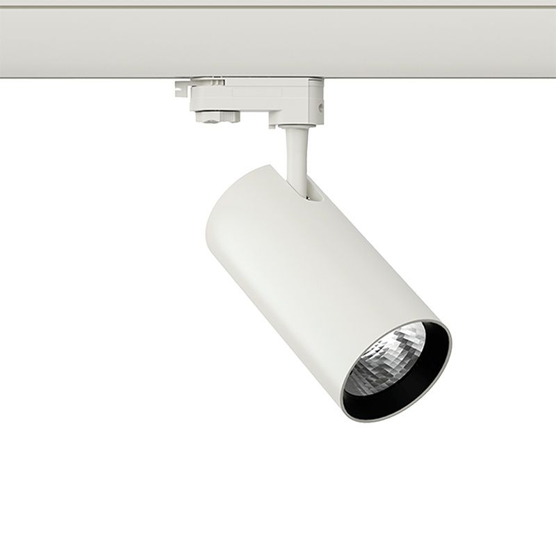 Spot blanc triphasé Esmiralda, 20W, 4000K, Pro