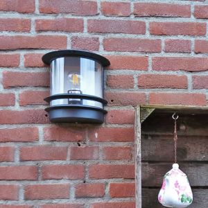 Luminaire extérieur transparente rustique, Zare, IP44