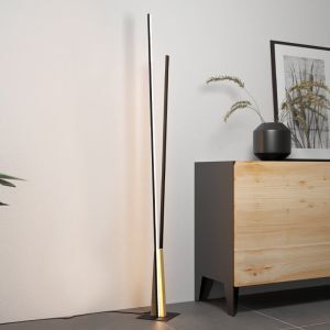 Lampadaire noir en aluminium, Leintje, 12,8W, 3000K LED, avec interrupteur