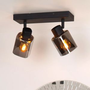 Spot plafond classique gris, Alion