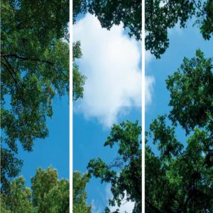 Impression photo nuage avec forêt - lot de 3 plaques acryliques avec impression, pour panneaux LED 120x60 cm