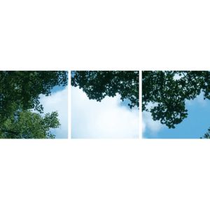 Impression photo nuage avec forêt - lot de 3 plaques acryliques avec impression, pour panneaux LED 60x60 cm