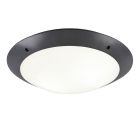 Lampe plafond moderne anthracite, Gandrup, IP54