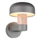 Luminaire extérieur moderne gris, Krishna, IP54