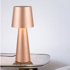 Lampe de table moderne marronne, Lillyam, avec interrupteur