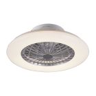 Ventilateur de plafond moderne gris, Damyan, 30W, blanc chaud à froid réglable LED, avec télécommande