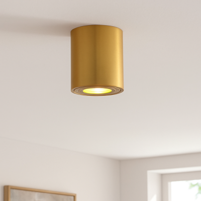 Spot en saillie laiton en métal, Alion, IP44