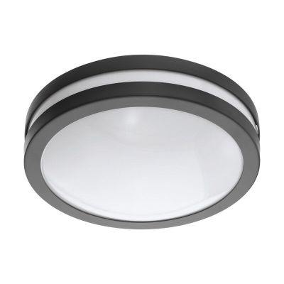 Luminaire extérieur anthracite en métal, Justin, IP44