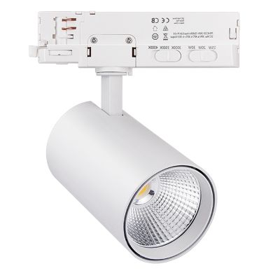 Spot de système de rail triphasé blanc, Rozina, 10W/20W/30W, white switch LED