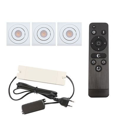 3 spots veranda orientable Rona carré, IP44, avec kit de connexion et télécommande, blanc