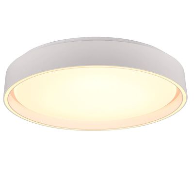Lampe plafond en plastique blanche, Deon, 24W, blanc chaud à froid réglable LED
