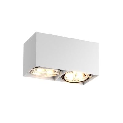 Spot en saillie blanc moderne, Harup