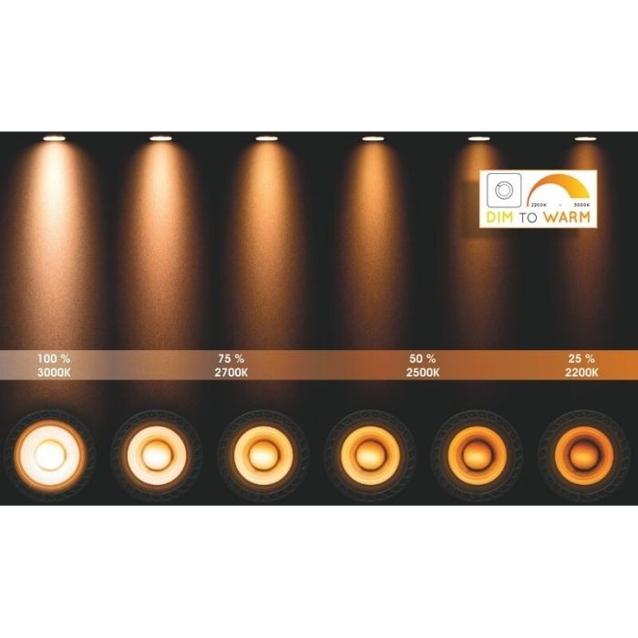 Spot plafond moderne noir, Taylor, IP44