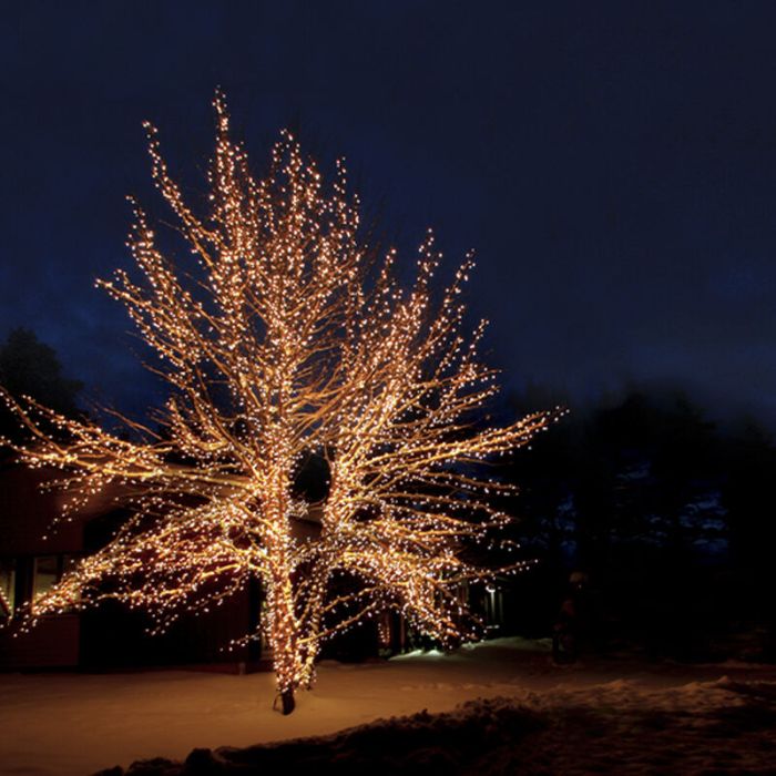 Éclairage d'arbre reliable noir 20M, 10 leds par mètre, IP67 - Blanc chaud