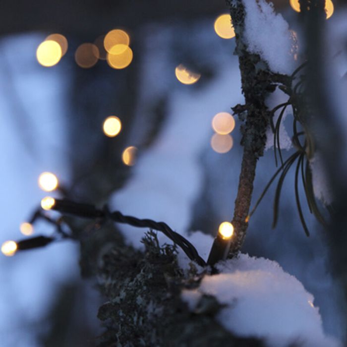 Éclairage d'arbre reliable noir 20M, 10 leds par mètre, IP67 - Blanc chaud