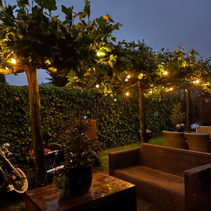 50m guirlande guinguette avec 50 dimmable ampoules transparantes