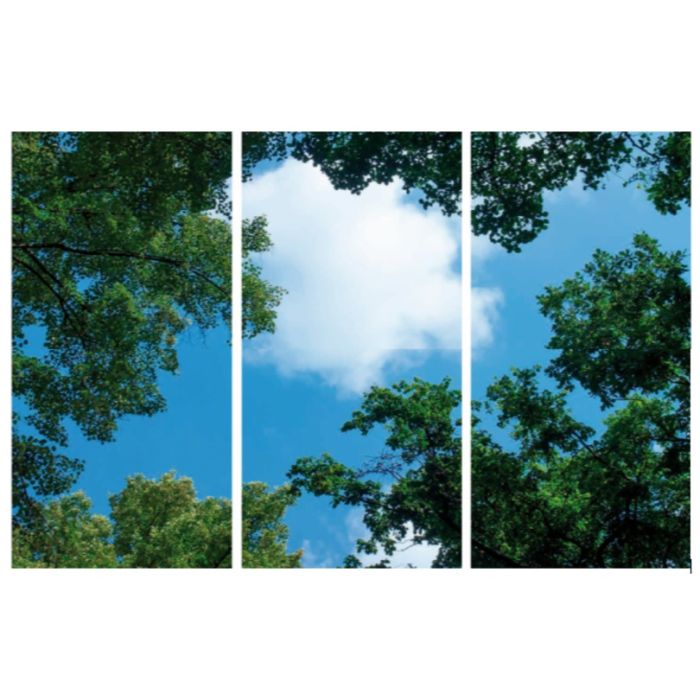 Impression photo nuage avec forêt - lot de 3 plaques acryliques avec impression, pour panneaux LED 120x60 cm