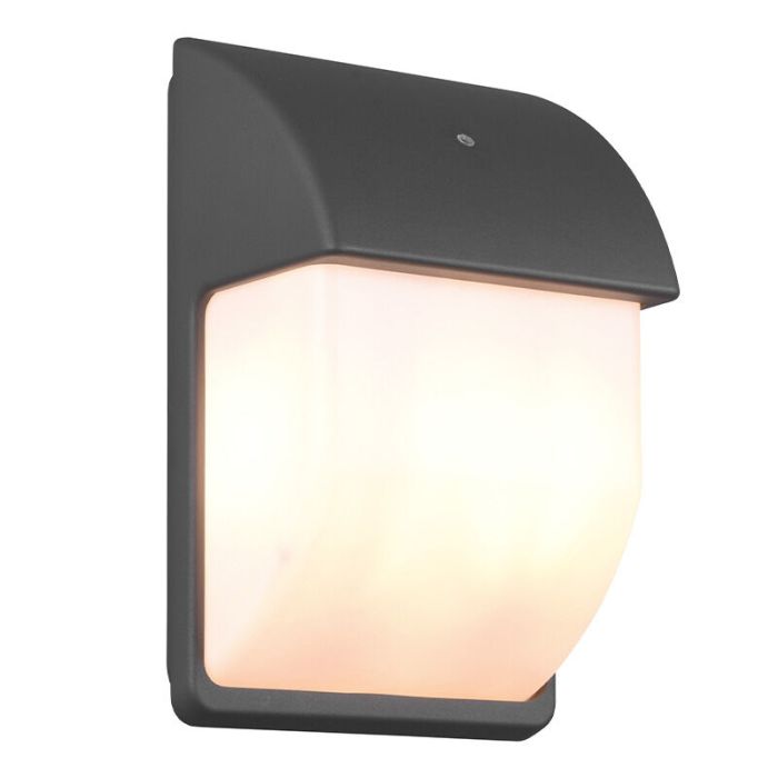 Applique extérieur avec capteur crépusculaire moderne anthracite, Remmert, IP44