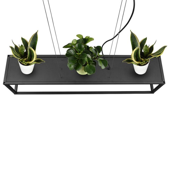 Suspension moderne noire, Fabrice
