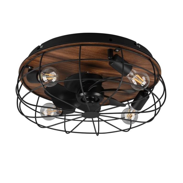 Ventilateur de plafond moderne noir, Roberto, avec télécommande